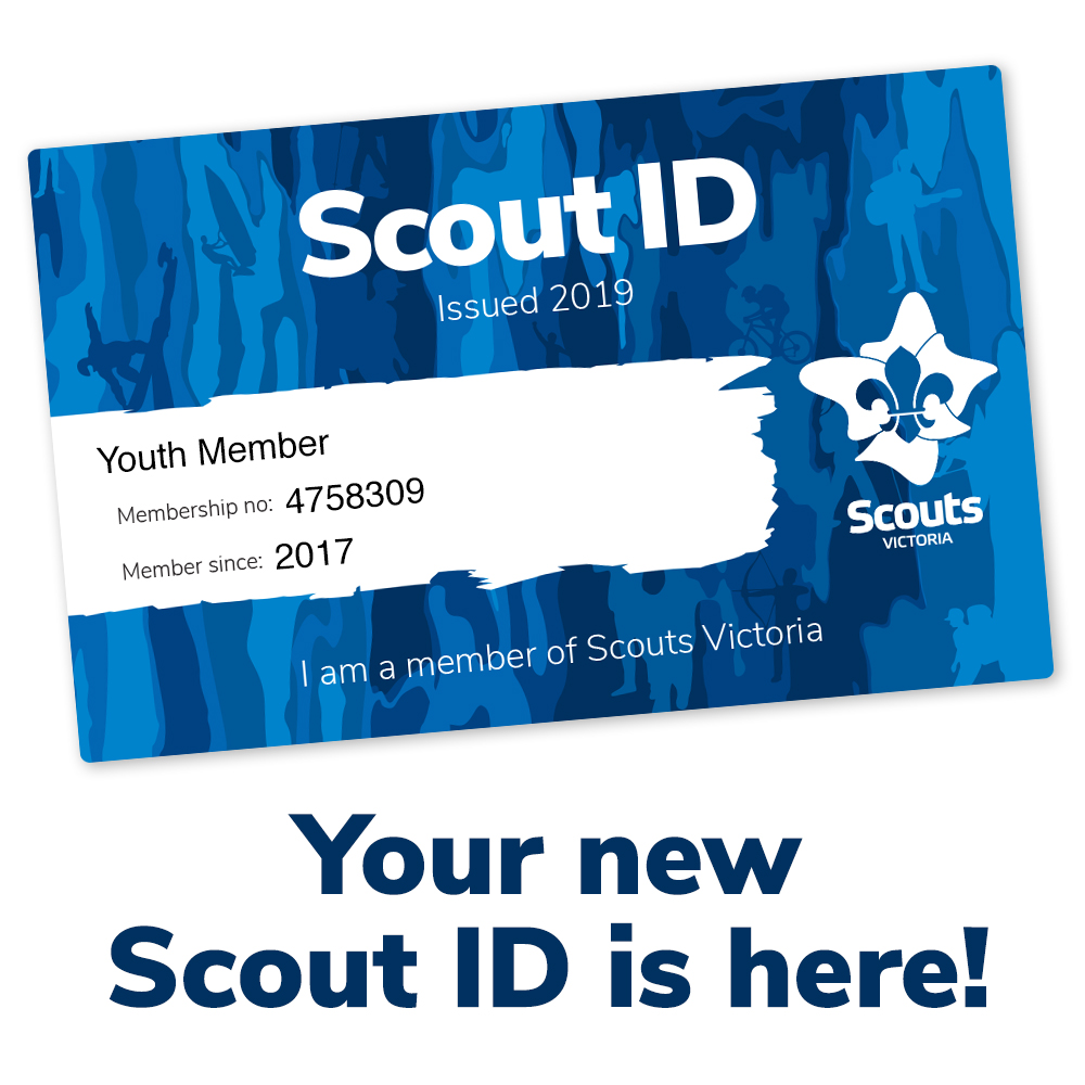 Bd Scout Id Card